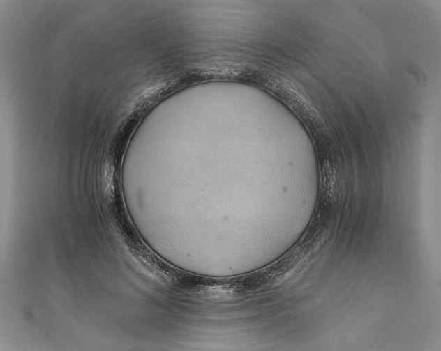 X0000111030692200907161325