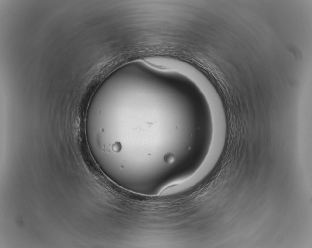 X0000111030693200907161325