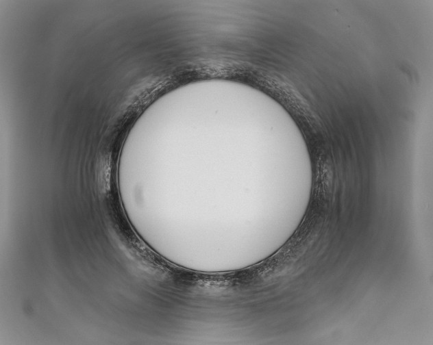 X0000111030694200907161325