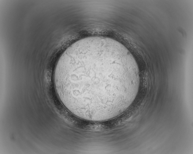 X0000111030695200907161325