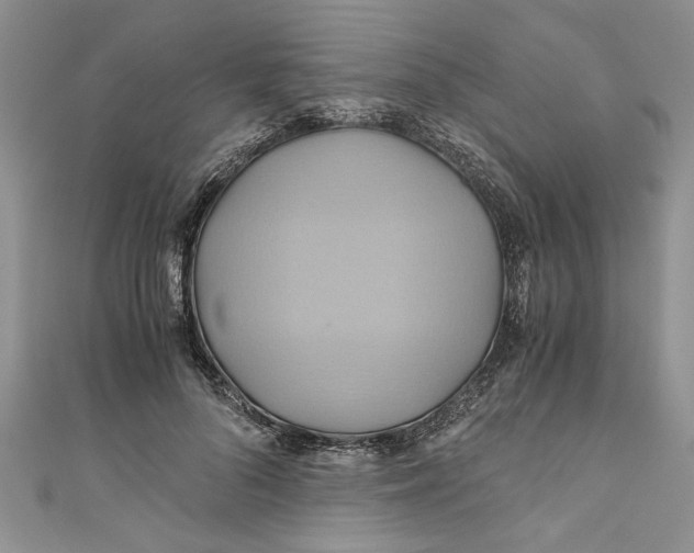 X0000111030696200907161325