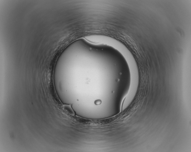 X0000111030697200907161325