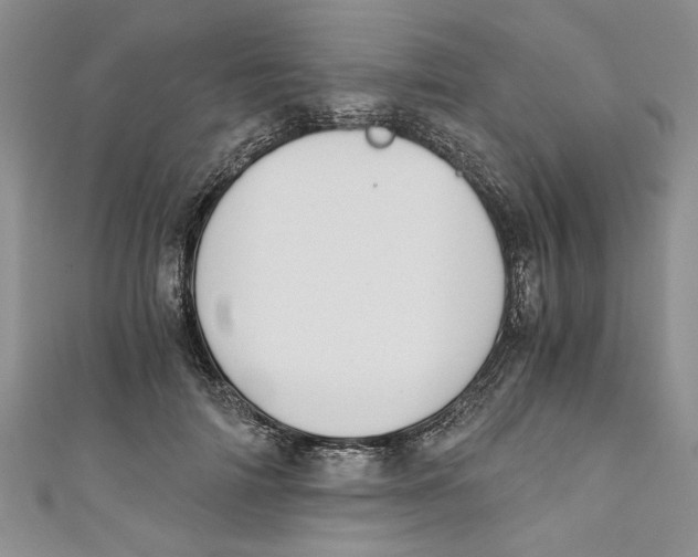 X0000111030698200907161325