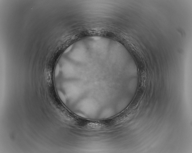 X0000111030699200907161325