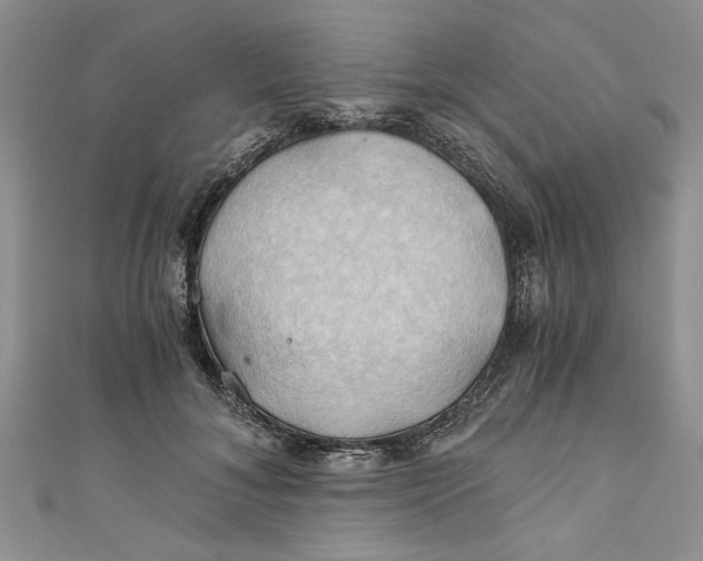 X0000111030700200907161325