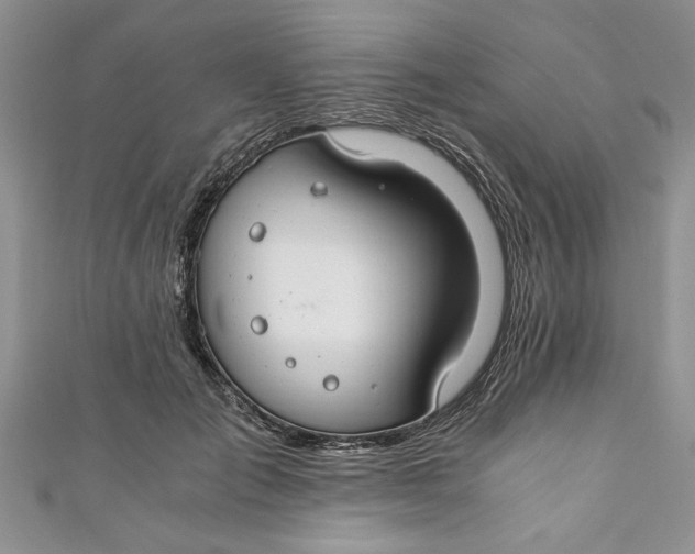 X0000111030701200907161325