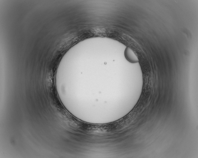 X0000111030702200907161325