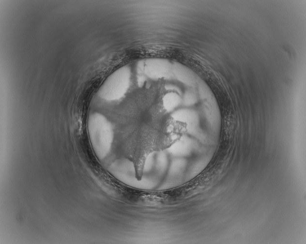 X0000111030703200907161325