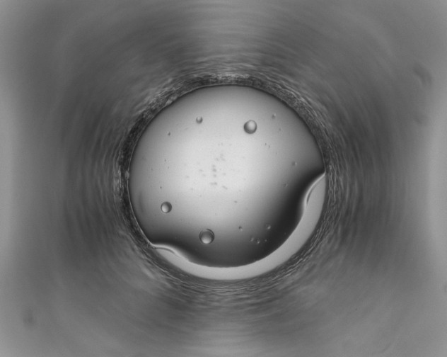 X0000111030704200907161325