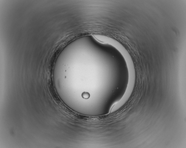 X0000111030705200907161325