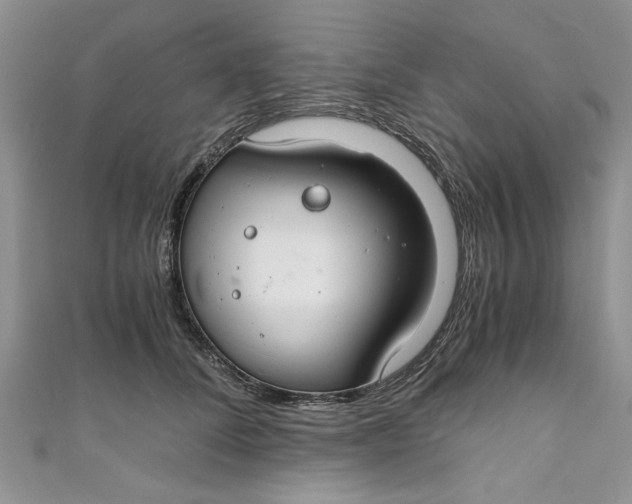 X0000111030708200907161325