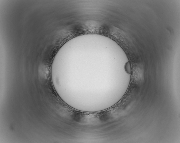 X0000111030709200907161325