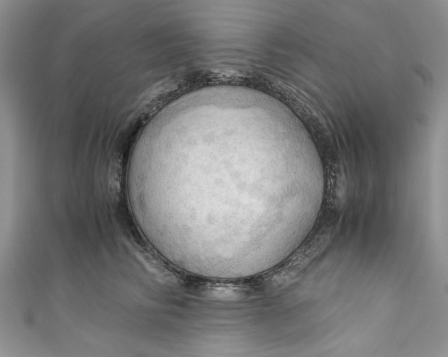 X0000111030710200907161325