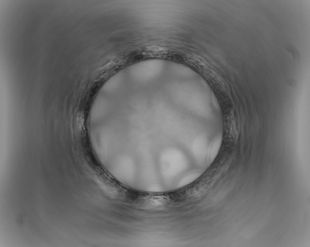 X0000111030711200907161325