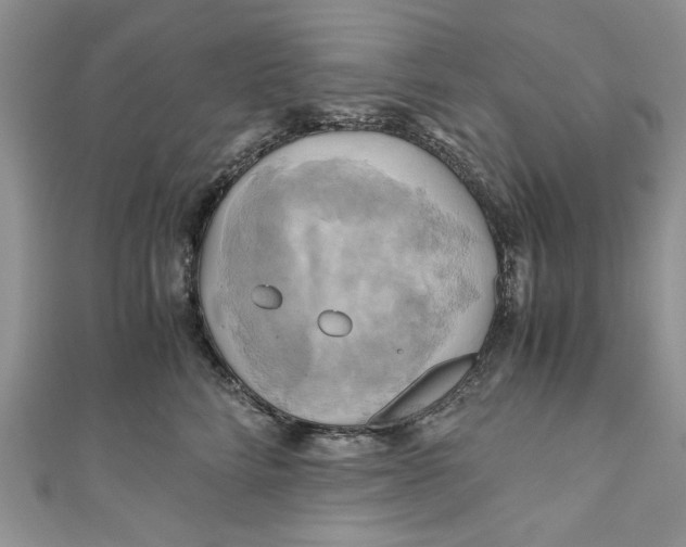 X0000111030712200907161325