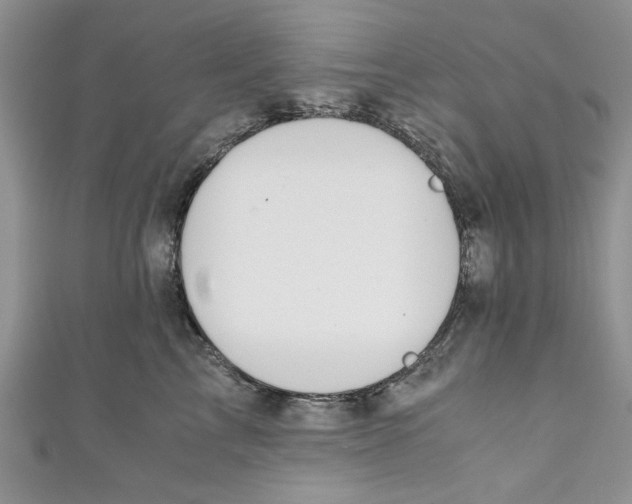 X0000111030713200907161325