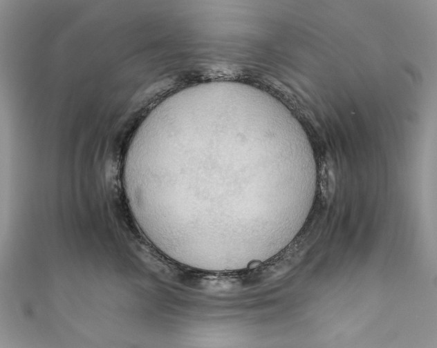 X0000111030714200907161325