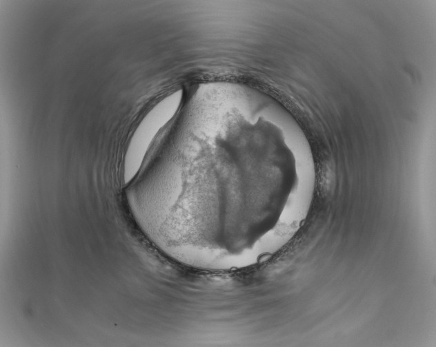 X0000111030715200907161325