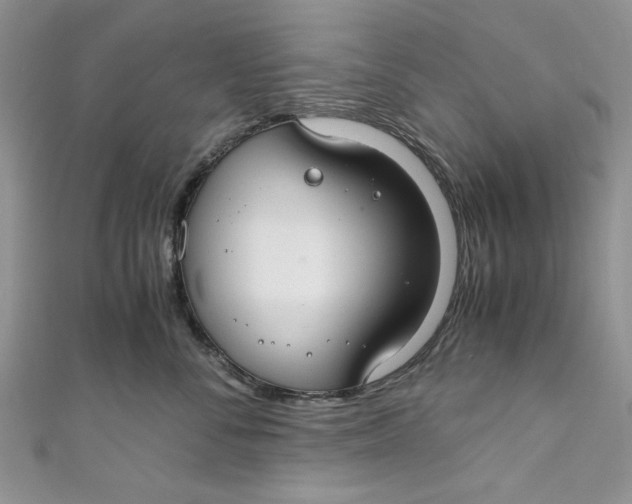 X0000111030716200907161325