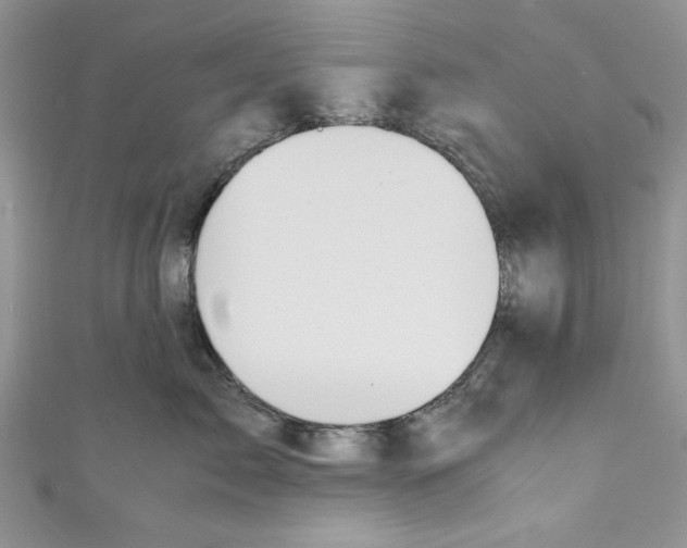 X0000111030717200907161325