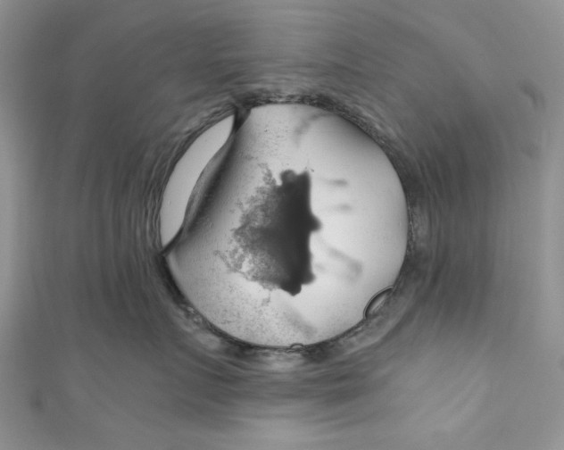 X0000111030719200907161325