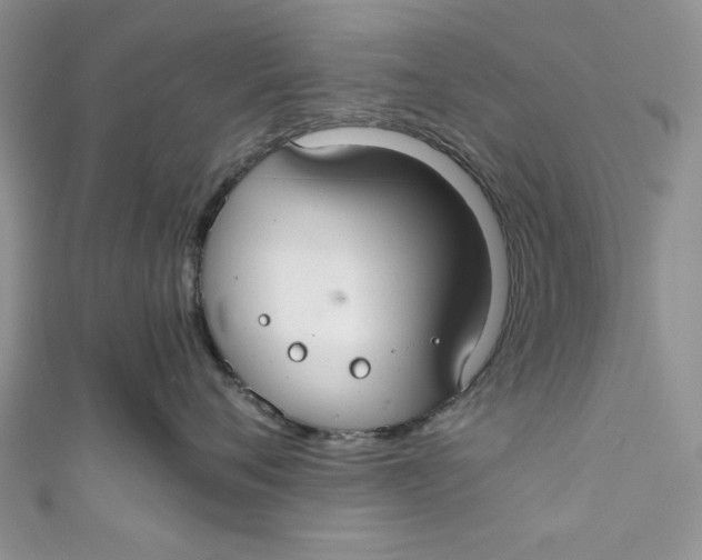 X0000111030720200907161325