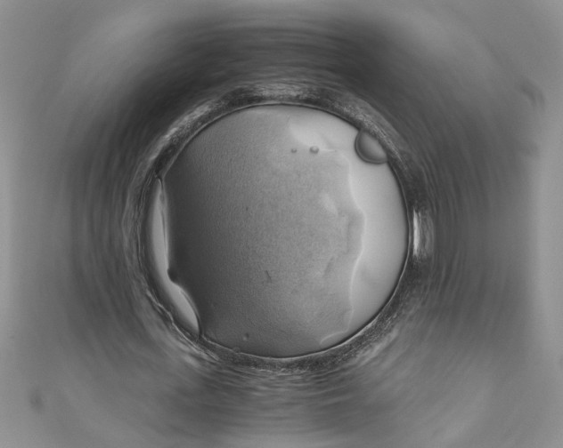 X0000111030723200907161324