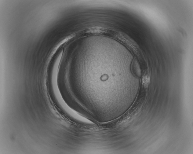 X0000111030724200907161324