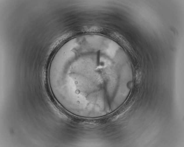 X0000111030725200907161324