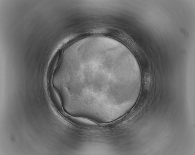 X0000111030726200907161324