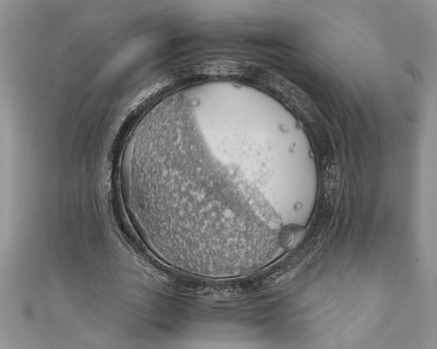 X0000111030727200907161324