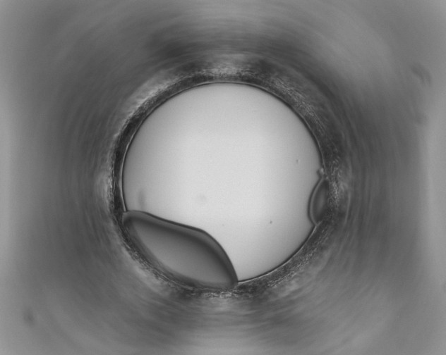 X0000111030728200907161324