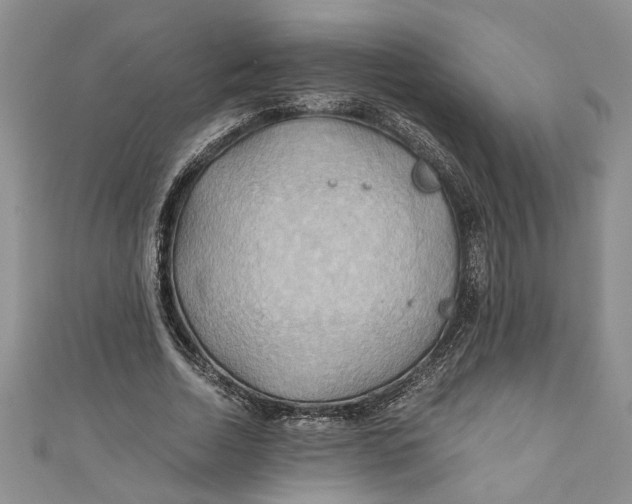 X0000111030730200907161324