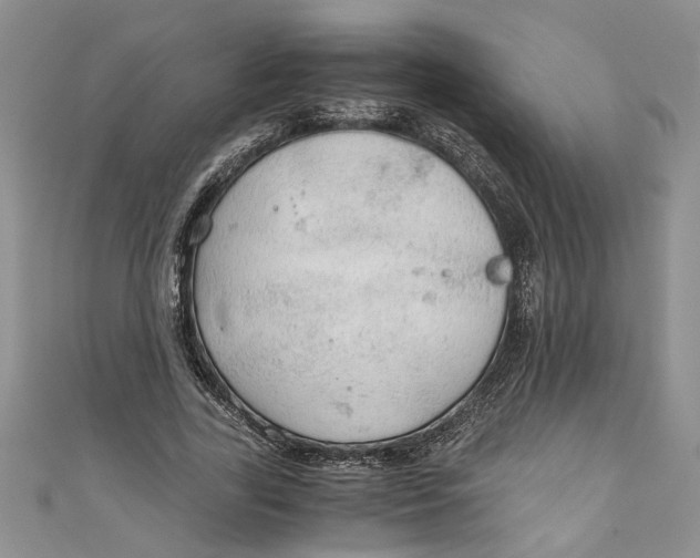 X0000111030731200907161324