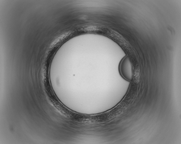 X0000111030732200907161324