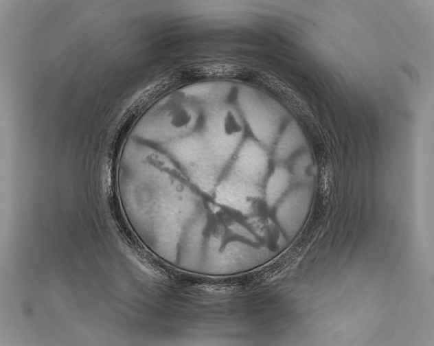 X0000111030733200907161324