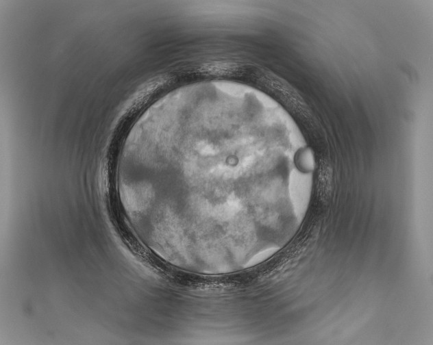 X0000111030734200907161324