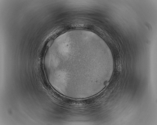 X0000111030735200907161324