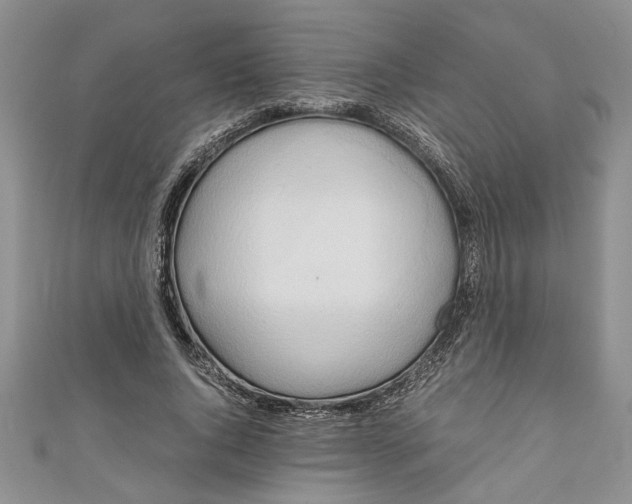 X0000111030736200907161324