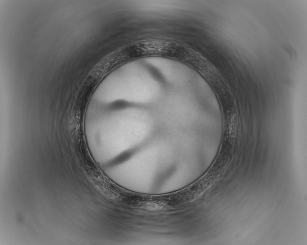 X0000111030737200907161324