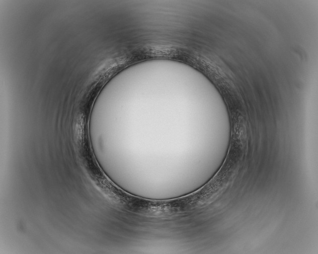 X0000111030744200907161324