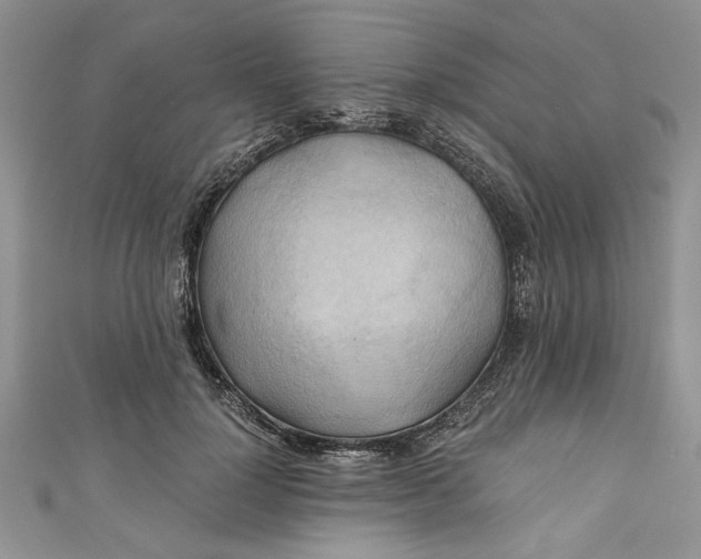 X0000111030748200907161324