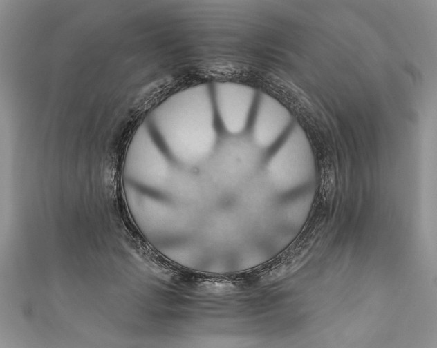 X0000111030749200907161324