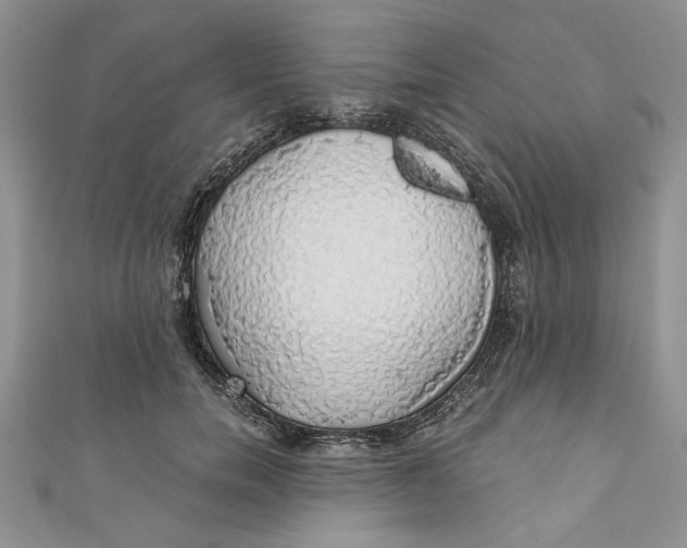 X0000111030750200907161324