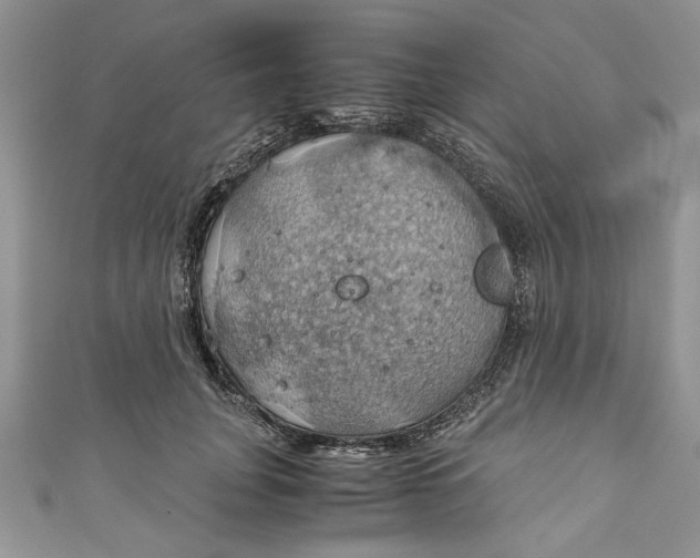 X0000111030751200907161324