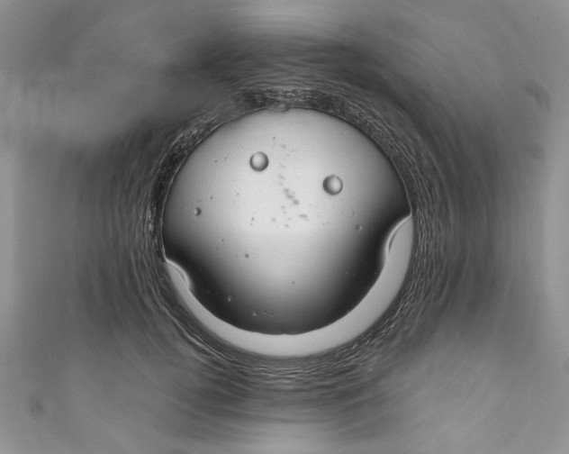 X0000111030752200907161324