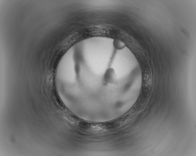 X0000111030753200907161324