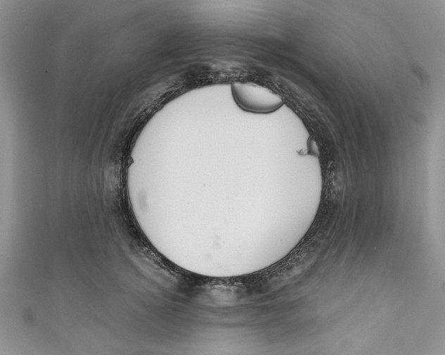 X0000111030756200907161324