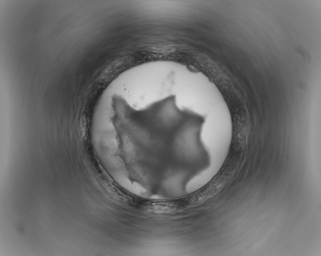 X0000111030758200907161324