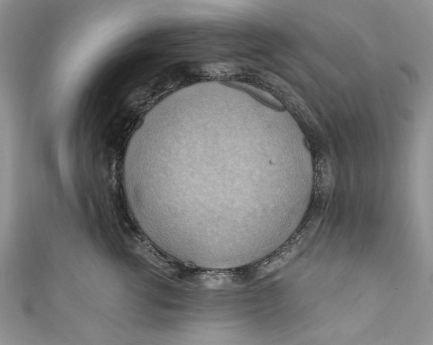 X0000111030762200907161324